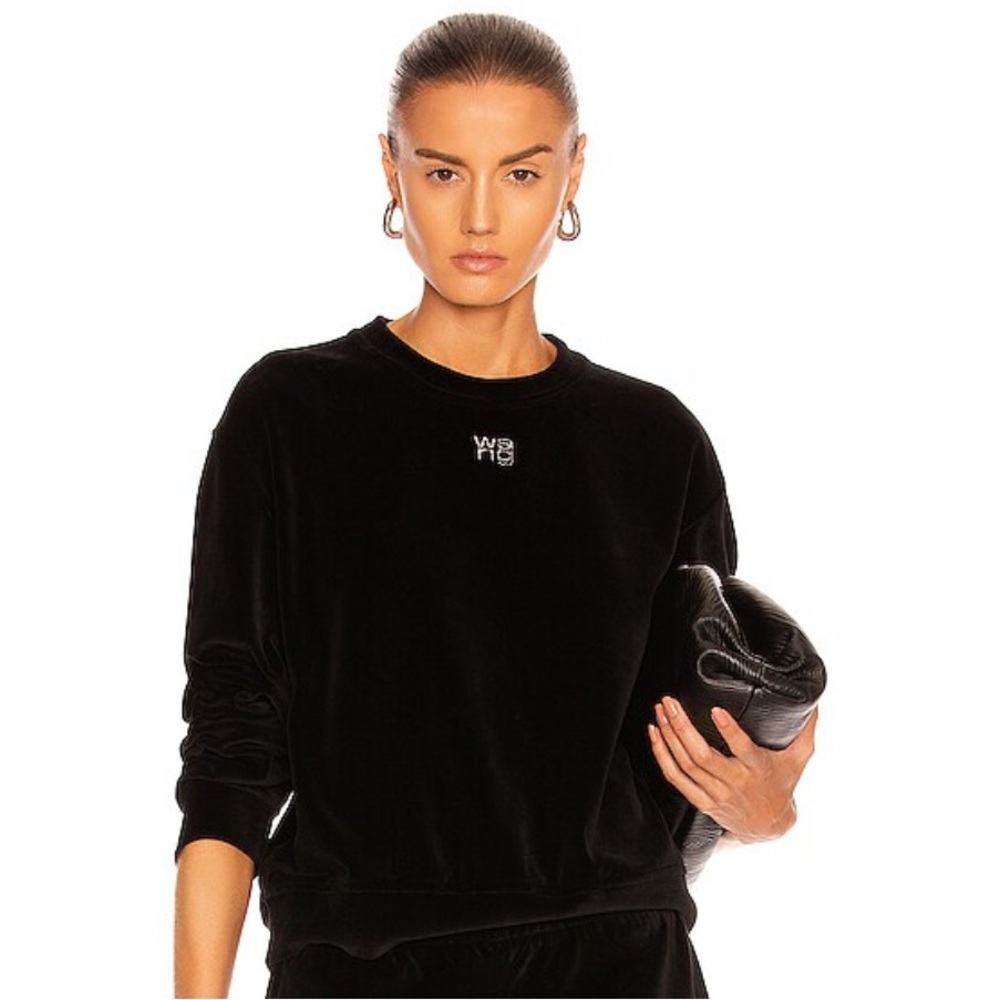 🔥ALEXANDER WANG SWEATSHIRT🔥